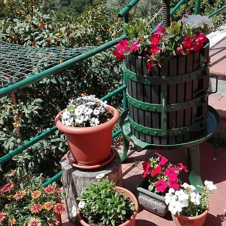 Willa Casa Ofelia Levanto Zewnętrze zdjęcie