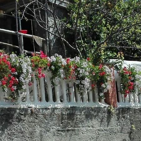 Willa Casa Ofelia Levanto Zewnętrze zdjęcie