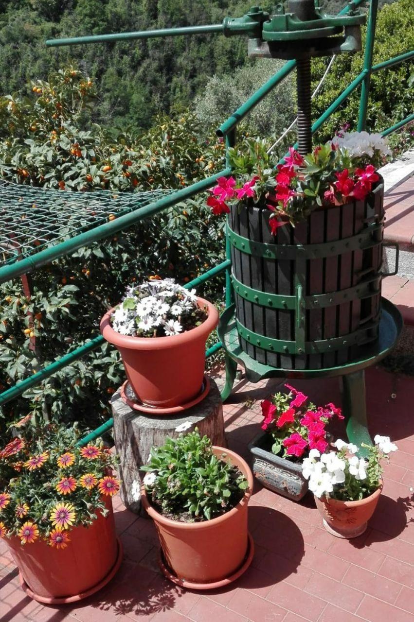 Willa Casa Ofelia Levanto Zewnętrze zdjęcie